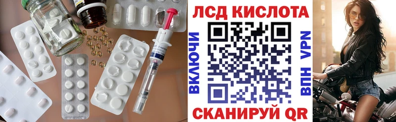 МЕГА tor  Щёкино  Лсд 25 экстази ecstasy 