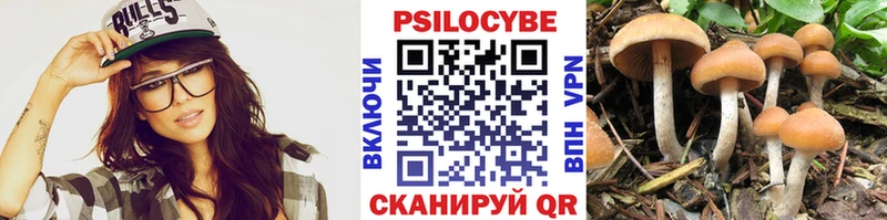 Галлюциногенные грибы ЛСД Щёкино